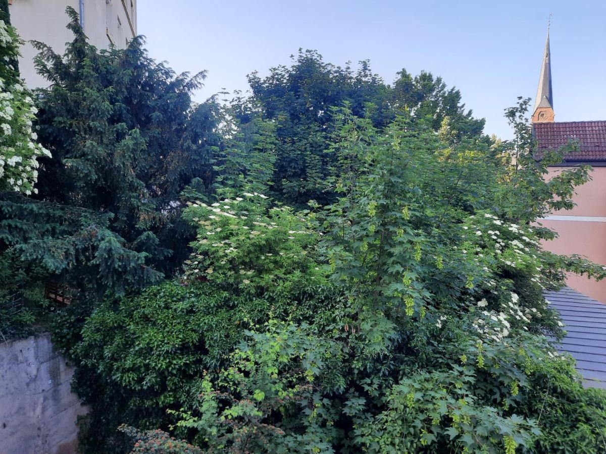City Suite Gablenberg Στουτγκάρδη Εξωτερικό φωτογραφία